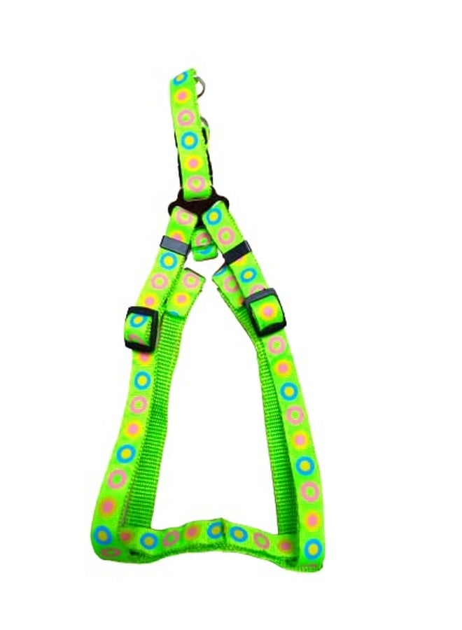 Pet Believe Adjustable Soft Nylon Dog Printed Harness & Leash Set for Puppies, Cats & Kitten - 15mm (Green) - Image 2